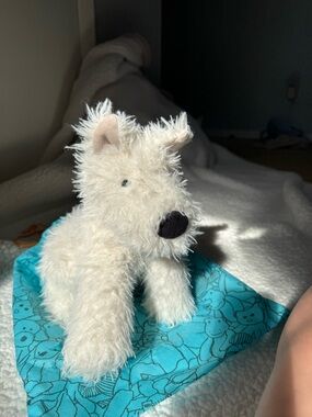 Jellycat Cream White Fluffy Dog Plush Toy with Black Nose